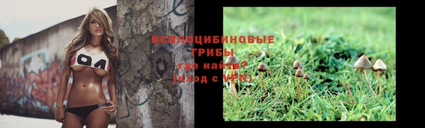 прущая мука Белокуриха